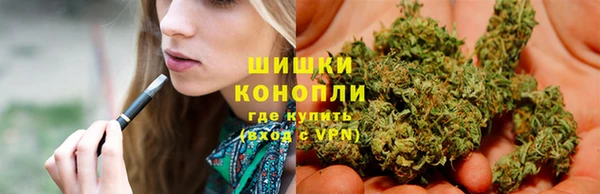 стафф Верхний Тагил
