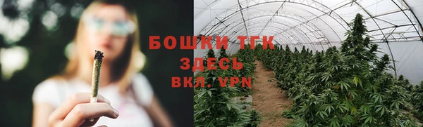 стафф Верхний Тагил